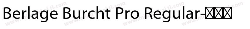 Berlage Burcht Pro Regular字体转换